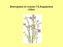 Викторина по сказке Г.Х.Андерсена Лён