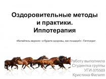 Оздоровительные методы и практики. Иппотерапия