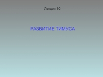 Лекция 10