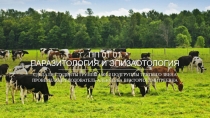 ПП 01 01 ПАРАЗИТОЛОГИЯ И ЭПИЗАОТОЛОГИЯ