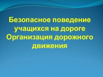 Безопасное поведение учащихся на дороге Организация дорожного движения