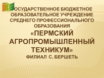 Государственное бюджетное образовательное учреждение среднего профессионального