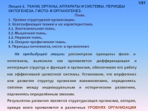 Лекция 3. ТКАНИ, ОРГАНЫ, АППАРАТЫ И СИСТЕМЫ. ПЕРИОДЫ ОНТОГЕНЕЗА. ГИСТО- И