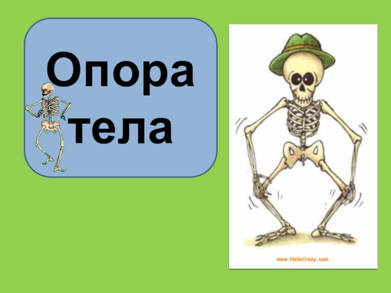 Опора тела