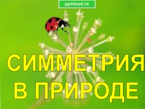 СИММЕТРИЯ
В ПРИРОДЕ
pptcloud.ru