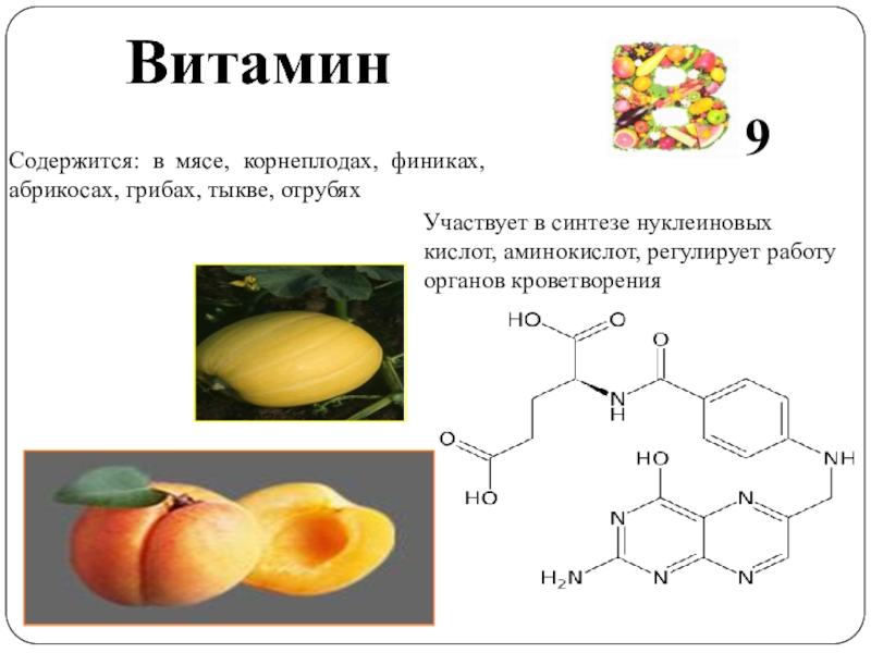 Презентация по витамину к