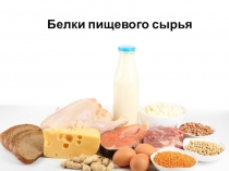 Белки пищевого сырья