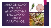 МИКРОБИОЛОГИЧЕСКАЯ ДИАГНОСТИКА БРЮШНОГО ТИФА И ПАРАТИФОВ