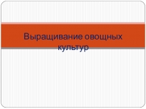 Выращивание овощных культур
