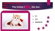 The kitten is the hat