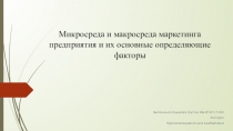 Микросреда и макросреда маркетинга предприятия и их основные определяющие