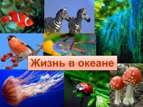 Жизнь в океане
