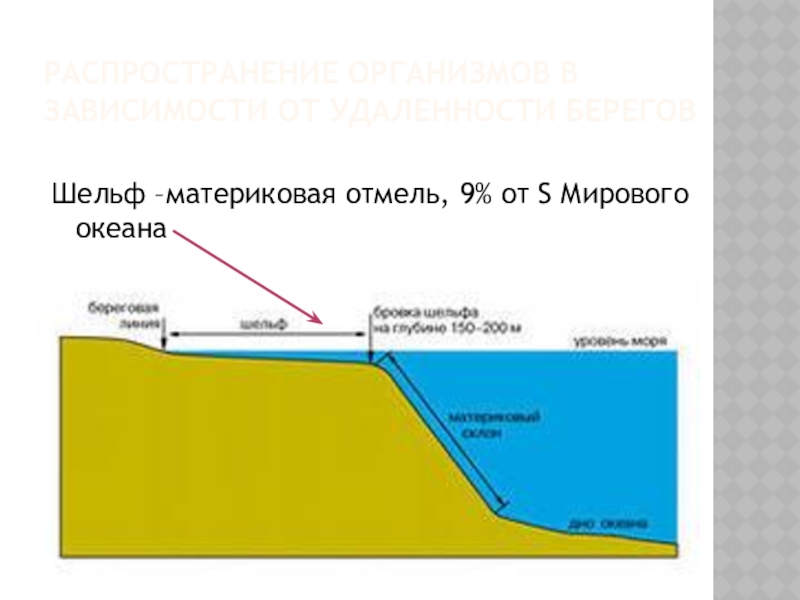 Материковая отмель карта