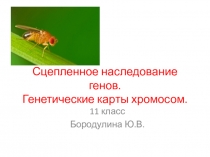 Сцепленное наследование генов. Генетические карты хромосом