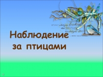 Наблюдение за птицами