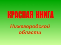 Нижегородской
области
КРАСНАЯ КНИГА