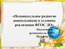 Познавательное развитие дошкольников в условиях реализации ФГОС ДО