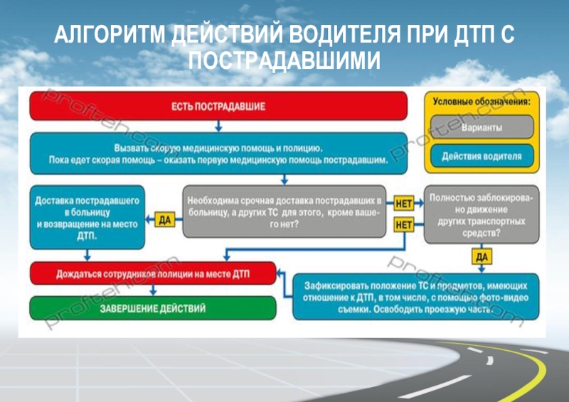 Алгоритмы действий по управлению транспортным средством могут выполняться водителем