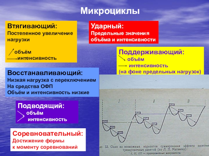 План втягивающего микроцикла