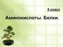 9 класс Аминокислоты. Белки