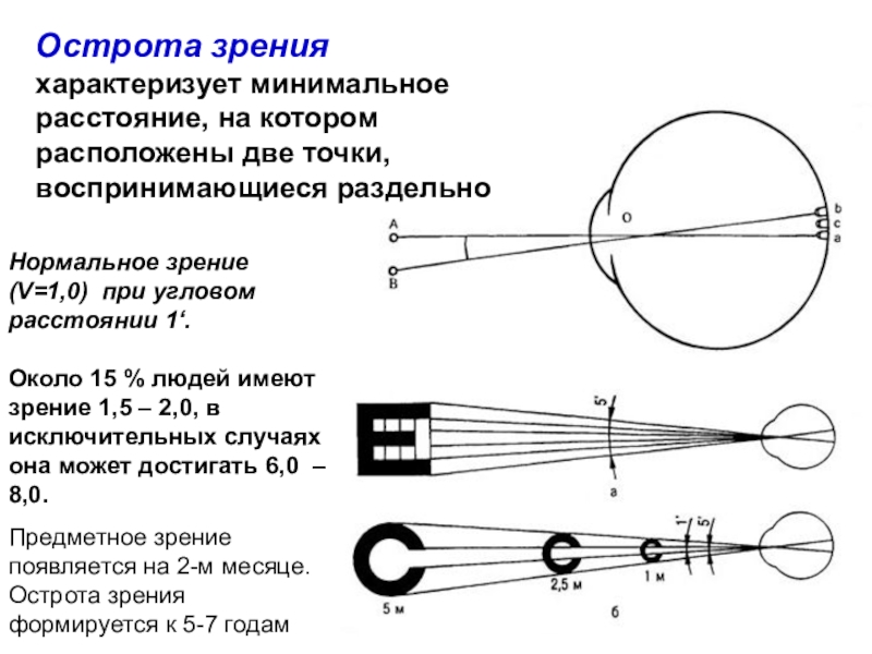 Острота зрения отражает способность оптической системы глаза строить четкое изображение