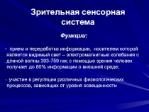 Зрительная сенсорная система