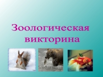 Зоологическая
викторина