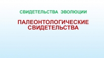 СВИДЕТЕЛЬСТВА ЭВОЛЮЦИИ
ПАЛЕОНТОЛОГИЧЕСКИЕ СВИДЕТЕЛЬСТВА