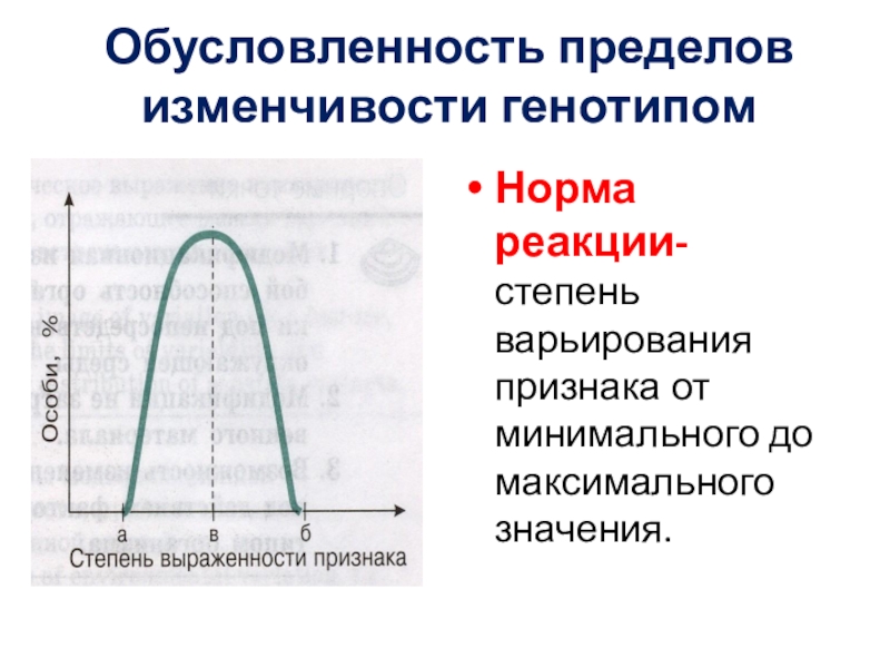 Норма реакции это пределы модификационной изменчивости. Норма реакции степень варьирования признака. Норма реакции это изменчивость признака. Пределы изменчивости тканей. Норма реакции изменчивость.