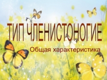 Общая характеристика