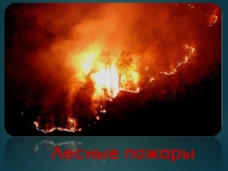 Лесные пожары