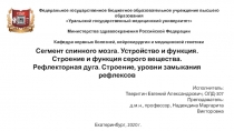 Федеральное государственное бюджетное образовательное учреждение высшего