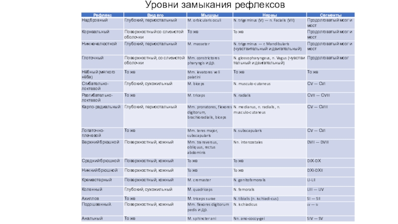 Рефлекс волжский телефон