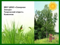 МБУ ЦКБО Северная Звезда
Творческий отдел с. Каменное