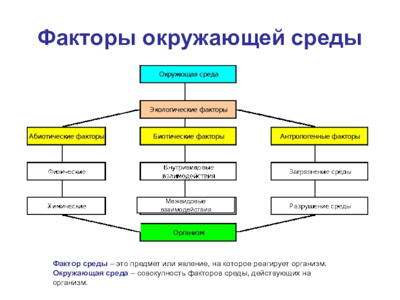 Взаимосвязь организмов и окружающей среды 9 класс проект