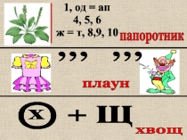 папоротник
плаун
хвощ