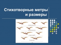 Стихотворные метры и размеры