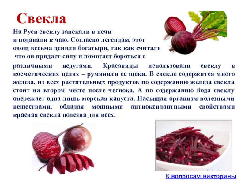 Сколько свекла. Свекла для презентации. Свекла на Руси. Железо в свекле. Свекла источник железа.