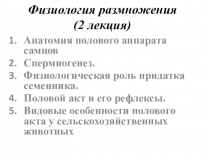 Физиология размножения (2 лекция)
