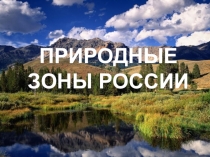 ПРИРОДНЫЕ ЗОНЫ РОССИИ