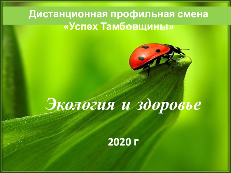 Презентация Экология и здоровье 2020 г