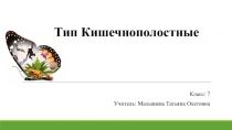 Тип Кишечнополостные