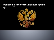 Основные конституционные права граждан РФ
