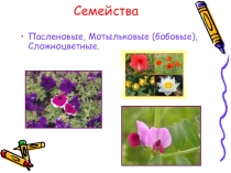 Семейства