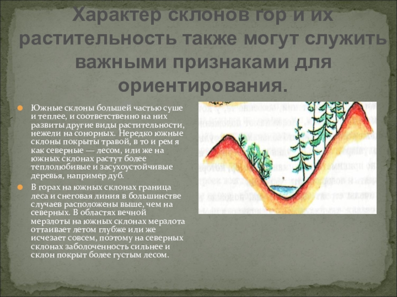 На каком склоне расположен. Виды склонов. Виды склонов гор. Ориентирование по склонам. Типы растительности на склонах.