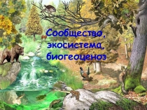 Сообщество, экосистема, биогеоценоз