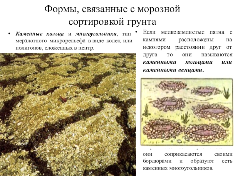 Связанные формы. Каменные кольца и многоугольники. Формы микрорельефа. Типы микрорельефа. Микрорельеф виды.