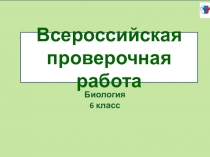 Всероссийская проверочная работа