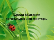 Среда обитания организмов и ее факторы