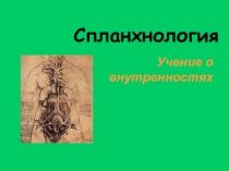 Спланхнология
Учение о внутренностях